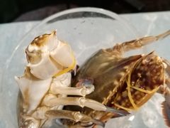 -怡乡王品海鲜姿造自助体验餐厅(大岛商业广场店)