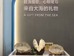 -贝壳梦幻世界