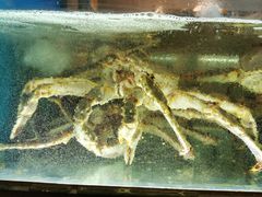 -海上明月海鲜火锅 鲜切牛肉