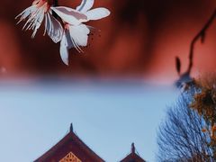 -颐和园