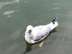-长鹿旅游休博园