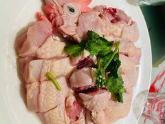 吃稻谷文昌鸡-千岛蚝高压锅生蚝·人参火锅(白云万达店)