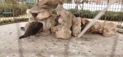-宝馨月月子中心(友谊医院店)