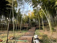 -天目湖山水园