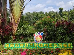 -海南热带野生动植物园