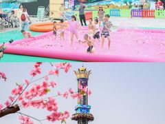 -南湖梦幻岛