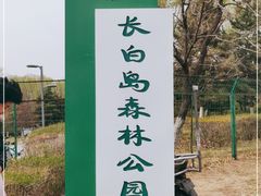 -长白岛森林公园