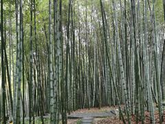 -杭州黄龙洞