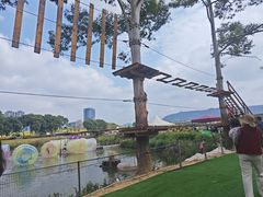 -光明小镇欢乐田园