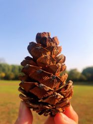 -大望京儿童游乐场