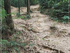 -广州市白云山风景名胜区