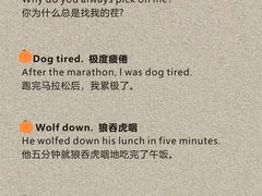 -JT PREP国际学科课程·IB·AP·Alevel(陆家嘴校区)