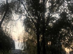 -四川大学(望江校区)