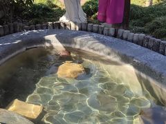 -扬州瘦西湖温泉