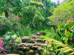 -中国科学院西双版纳热带植物园