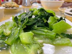 -金豪沙姜鸡饭店(昌平路店)