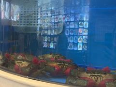 -阳光海鲜城(太仓万达店)