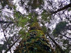 -硗碛藏寨·神木垒景区