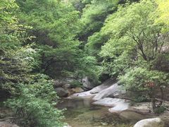 -少华山国家森林公园