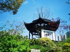 -和平公园