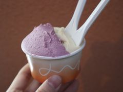 -DIP in GELATO(富民路店)
