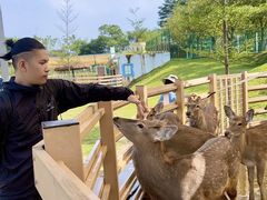 -盈香心动乐园