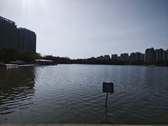 -南翔镇银翔湖公园