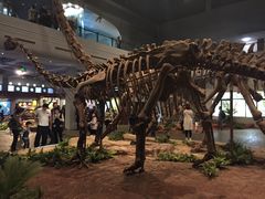 -自贡恐龙博物馆