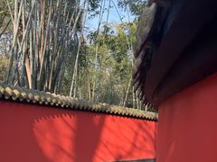 -成都武侯祠博物馆