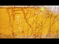 景点-三里屯东五街银杏大道