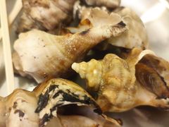 盐烤海螺-白仁仔· 活烤海鲜 宵夜(豫园店)