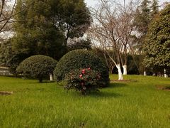 -堤角公园