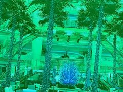 -威斯汀舞台餐厅