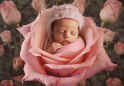 -菲啦城堡高端儿童摄影会所(武夷商业城店)