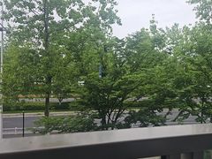 -宝荣鱼馆·临湖之宴(千岛湖店)