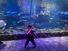 -华夏文旅海洋公园