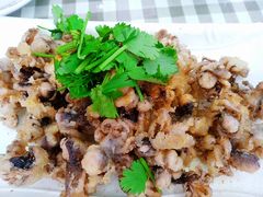 迷你小八爪-烁佳海鲜大馅饺子