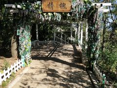 -燕窝岭
