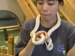-藦茜花园宠物主题亲子互动体验馆(国顺东路店)