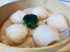 -金悦轩海鲜城(渔人码头店)