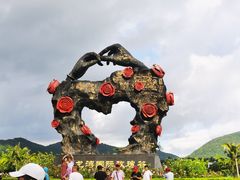 -亚龙湾国际玫瑰谷