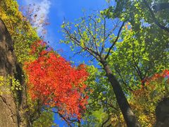 -丹东天桥沟景区