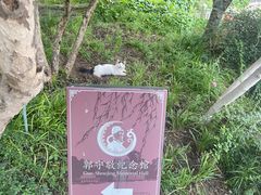 -郭守敬纪念馆
