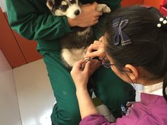 -惠康宠物医院(华能路店)