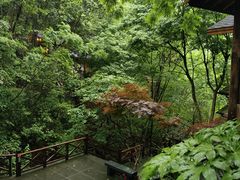 -天明山温泉大酒店