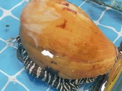 -醉壹号海鲜大排档·老厦门特色菜(厦门美食地标店)