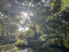 -杭州植物园