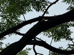 -晓港公园