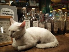-新月集庭院咖啡馆(老邮局店)