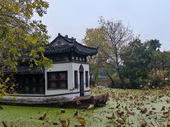 -扬州大运河文化旅游度假区·盆景园